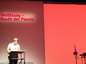 Berlin Zang Di by wang pu